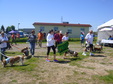 Enlarge photo 46