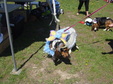 Enlarge photo 40
