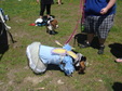 Enlarge photo 39