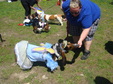 Enlarge photo 38