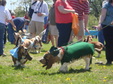 Enlarge photo 24