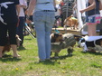 Enlarge photo 25