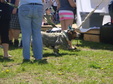 Enlarge photo 26