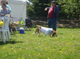 Enlarge photo 27