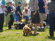 Enlarge photo 28