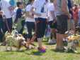 Enlarge photo 30
