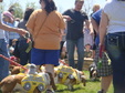 Enlarge photo 31