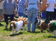 Enlarge photo 33
