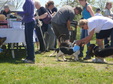 Enlarge photo 35