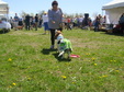Enlarge photo 37