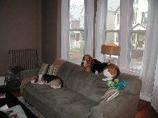 Enlarge photo 2