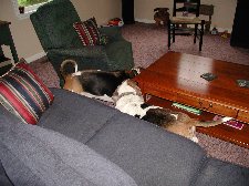 Enlarge photo 24
