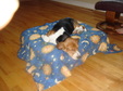 Enlarge photo 5