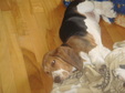 Enlarge photo 13