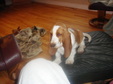 Enlarge photo 17