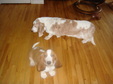 Enlarge photo 19