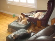 Enlarge photo 21