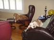 Enlarge photo 3