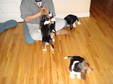 Enlarge photo 4