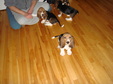 Enlarge photo 5