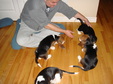 Enlarge photo 6