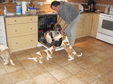 Enlarge photo 19