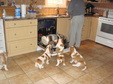 Enlarge photo 20