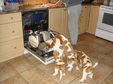 Enlarge photo 22