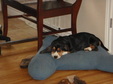 Enlarge photo 24