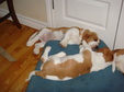 Enlarge photo 26