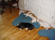 Enlarge photo 28