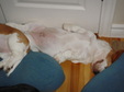 Enlarge photo 29