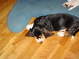 Enlarge photo 30