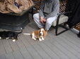 Enlarge photo 35