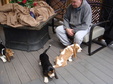 Enlarge photo 37