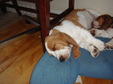 Enlarge photo 44