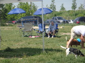 Enlarge photo 51