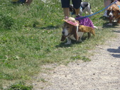 Enlarge photo 53