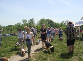 Enlarge photo 57