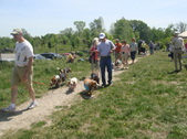 Enlarge photo 62