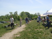Enlarge photo 67