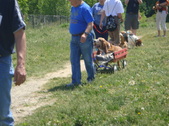 Enlarge photo 68