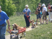 Enlarge photo 70