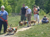 Enlarge photo 72
