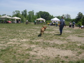 Enlarge photo 87