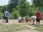Enlarge photo 89