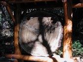Enlarge photo 148