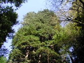 Enlarge photo 151