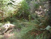 Enlarge photo 154