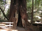 Enlarge photo 157